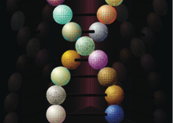 Telling DNA what to do and how to do it: A Perspective article summarizing “Cell Cycle-Specific Cleavage of Scc2 Regulating its Cohesin Deposition Activity” and “Phosphorylation of the Scc2 cohesin deposition complex subunit regulating chromosome condensation through cohesin integrity”