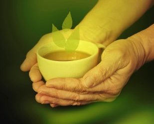 Green Tea Polyphenols, Epigallocatechin Gallate and Epicatechin Synergistically Altering Production of Th1 and T Regulatory Cytokines by Normal and Leukemic T Lymphocytes